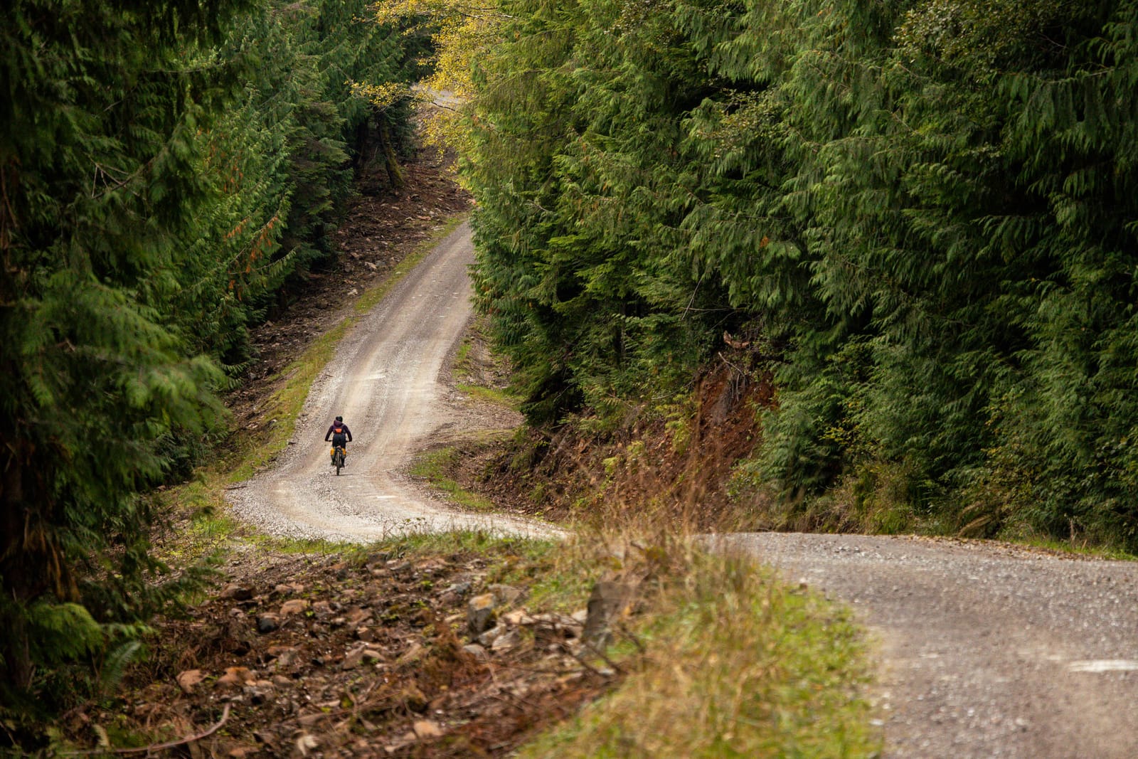 Lesní cesty Britské Kolumbie: co se můžeme naučit od bikepackerů za oceánem